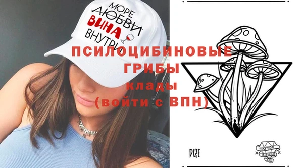 гидра Абинск