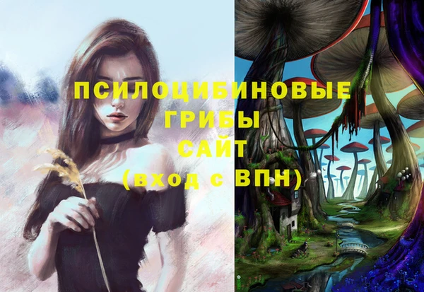 гидра Абинск