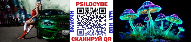 купить наркотик Руза Галлюциногенные грибы Magic Shrooms